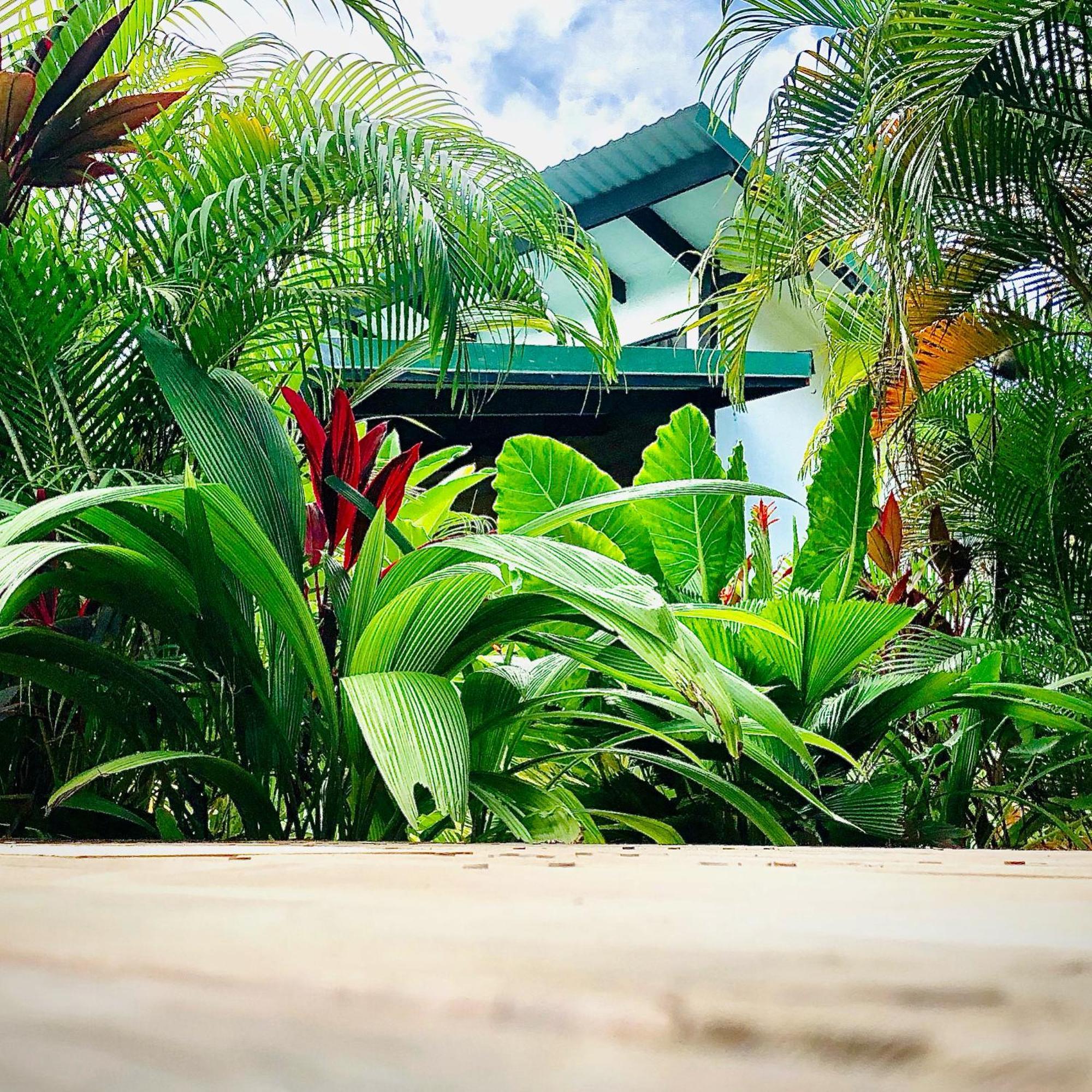 Santeria Lodge Playa Santa Teresa  Exterior foto