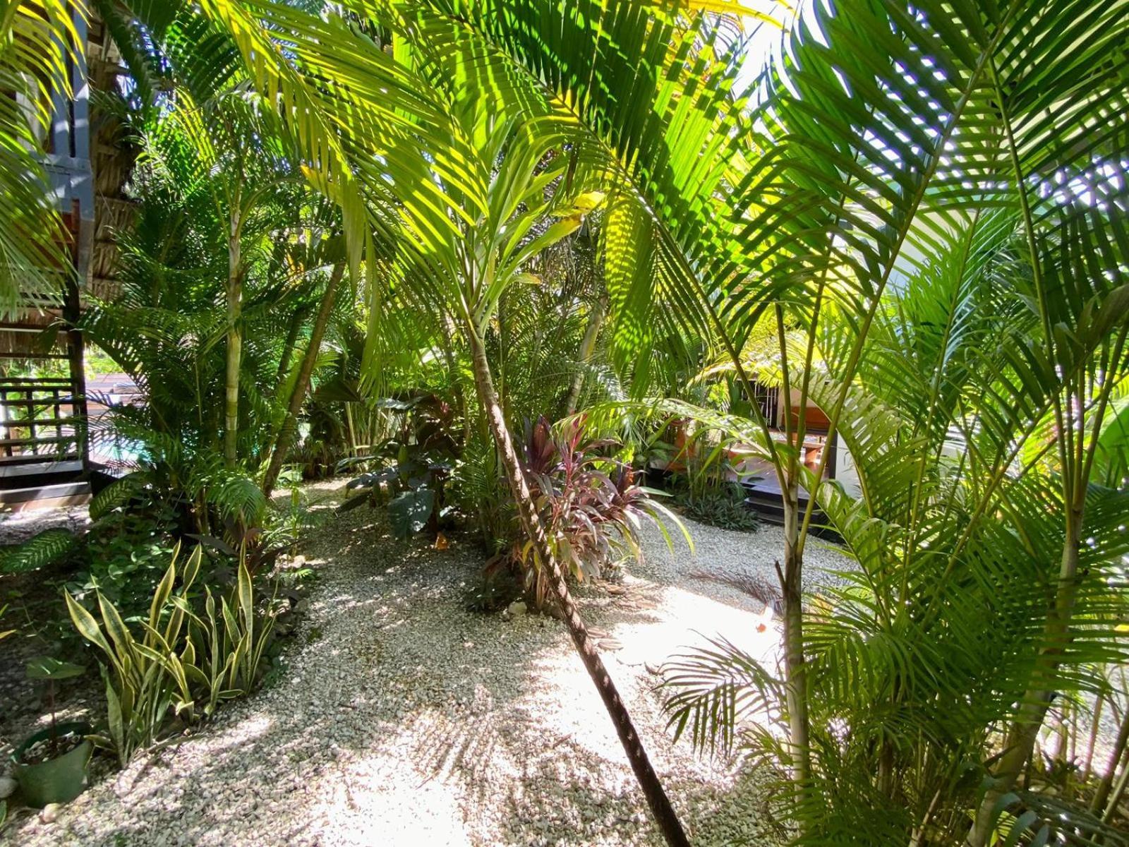 Santeria Lodge Playa Santa Teresa  Exterior foto