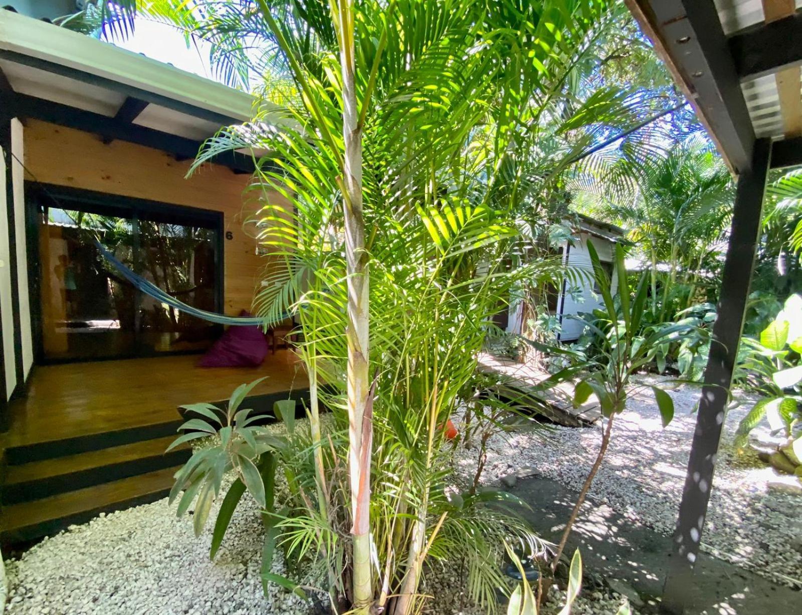 Santeria Lodge Playa Santa Teresa  Exterior foto